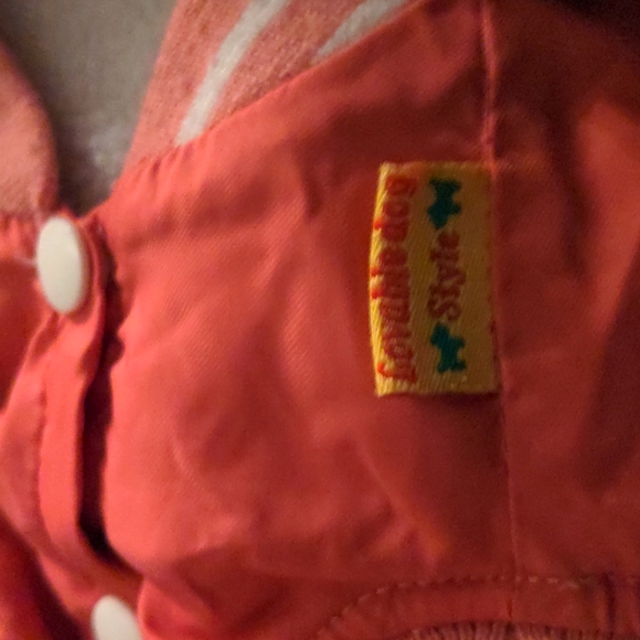 ❤️ Loveable Dog Hooded Jacket Small FANCY PUNK - Picture 7 of 9